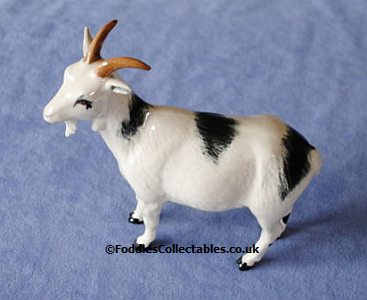 Beswick Farm Pygmy Goat