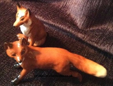 Beswick Foxes 2024 1